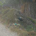 Vraj-Yatra-2014- (1560)